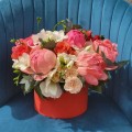 Peonia love