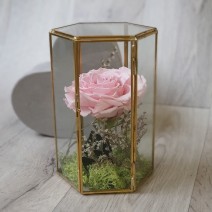 Suport de sticlă cu trandafir roz stabilizat XXL