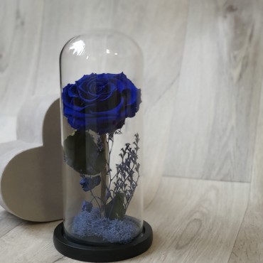 Cupolă de sticlă cu trandafir stabilizat albastru