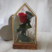 Suport de sticlă cu trandafir stabilizat roșu inimioară