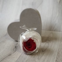 Glob de sticlă cu trandafir roșu stabilizat