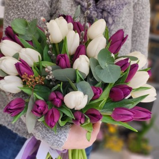 Tulip Love