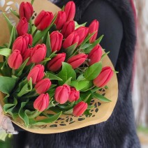 Tulip Love 2